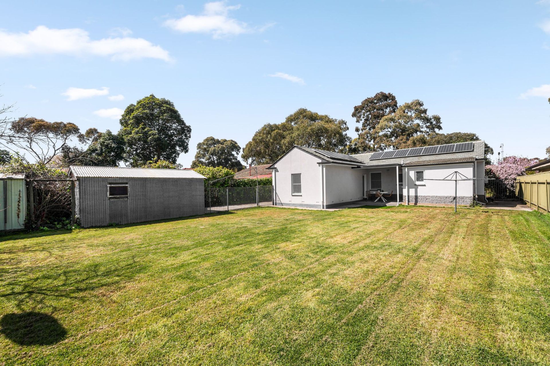 Backyard with a large green lawn, corrugated metal shed and the rear of the white house with solar panels