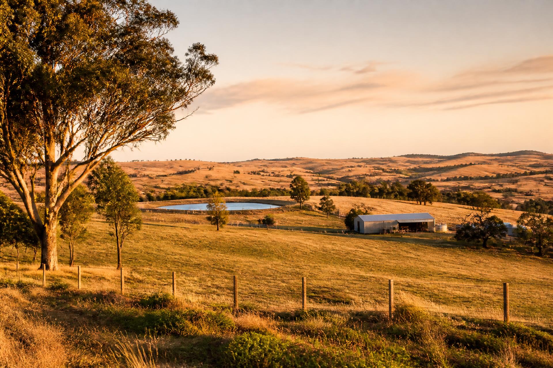 Rural holding with paddocks and shedding at golden hour